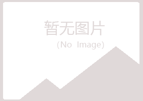 岳西县惜雪化学有限公司